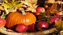 Ojačajte imunitet uz plodove jeseni