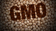 Soja – lider među GMO